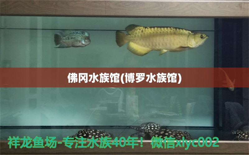 佛冈水族馆(博罗水族馆)