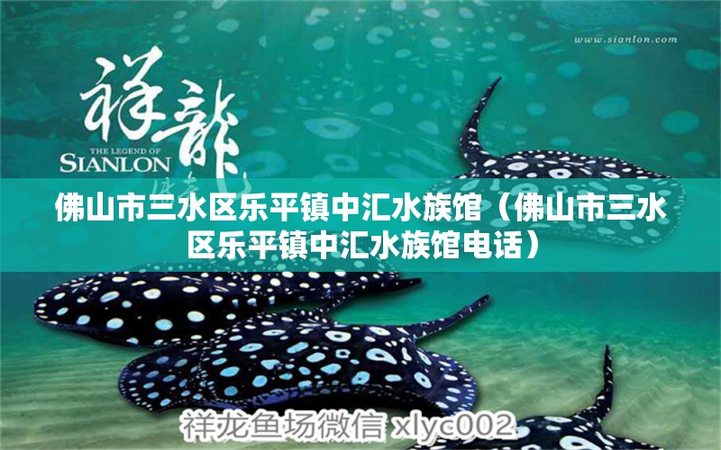 佛山市三水区乐平镇中汇水族馆（佛山市三水区乐平镇中汇水族馆电话）