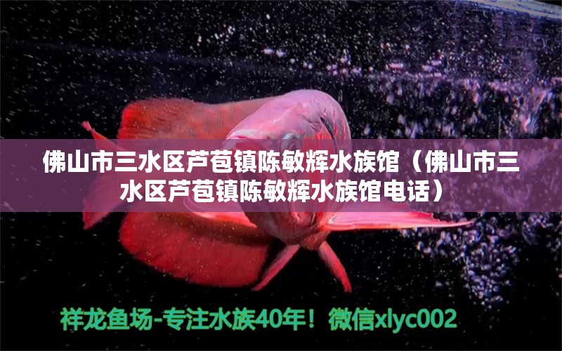 佛山市三水区芦苞镇陈敏辉水族馆（佛山市三水区芦苞镇陈敏辉水族馆电话）