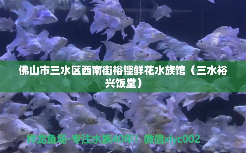 佛山市三水区西南街裕铿鲜花水族馆（三水裕兴饭堂） 全国水族馆企业名录