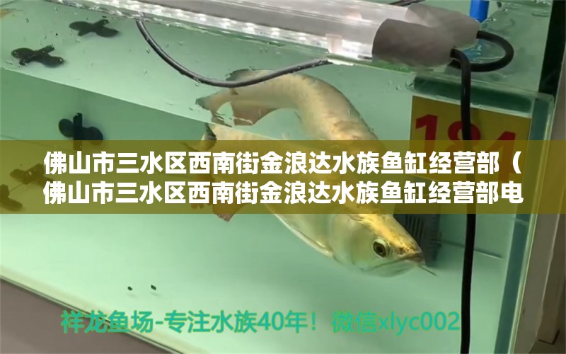 佛山市三水区西南街金浪达水族鱼缸经营部（佛山市三水区西南街金浪达水族鱼缸经营部电话）