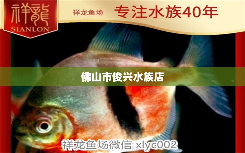 佛山市俊兴水族店 全国水族馆企业名录