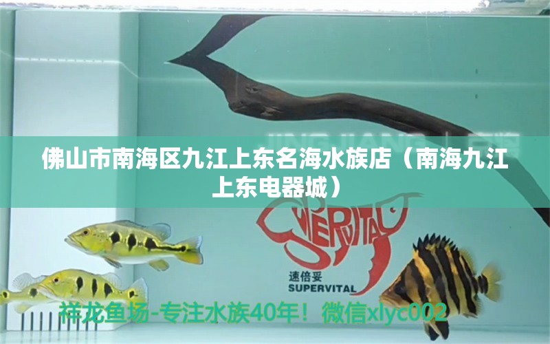 佛山市南海区九江上东名海水族店（南海九江上东电器城） 全国水族馆企业名录