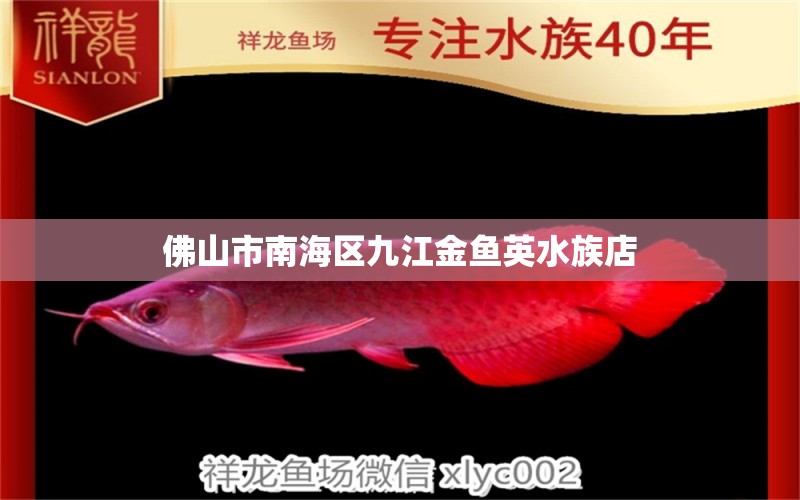 佛山市南海区九江金鱼英水族店 全国水族馆企业名录