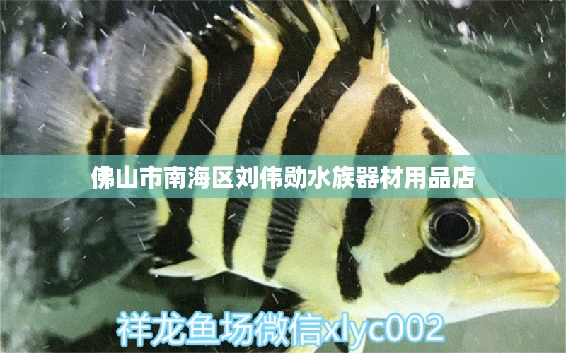 佛山市南海区刘伟勋水族器材用品店 全国水族馆企业名录