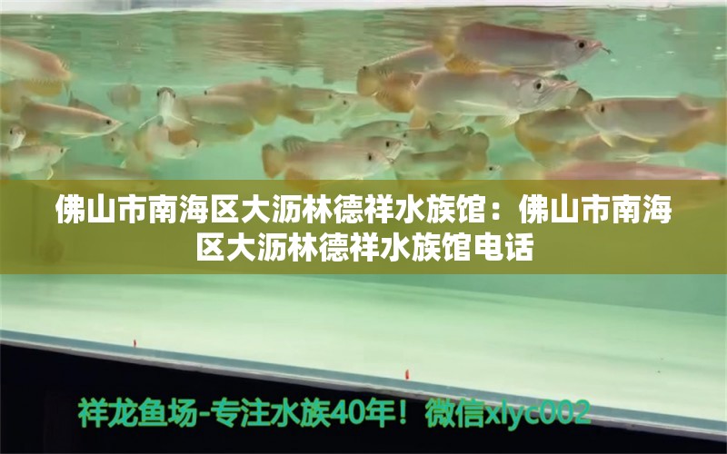 佛山市南海区大沥林德祥水族馆：佛山市南海区大沥林德祥水族馆电话