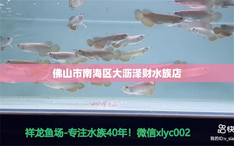 佛山市南海区大沥泽财水族店