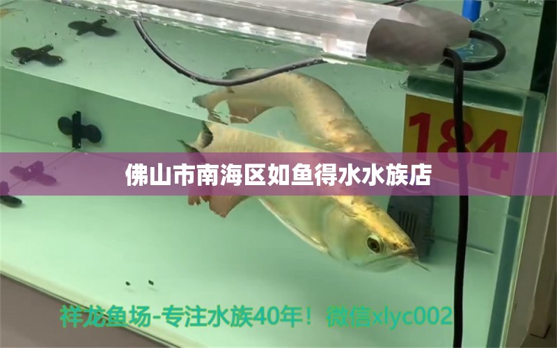 佛山市南海区如鱼得水水族店 全国水族馆企业名录