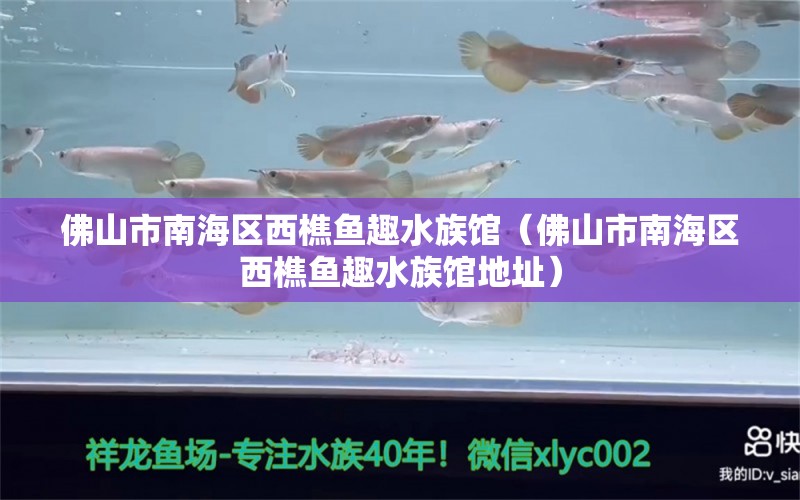 佛山市南海区西樵鱼趣水族馆（佛山市南海区西樵鱼趣水族馆地址）