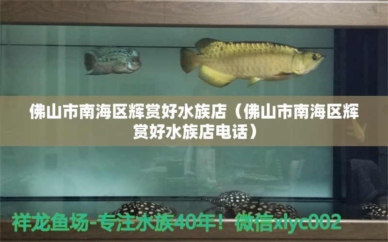 佛山市南海区辉赏好水族店（佛山市南海区辉赏好水族店电话）