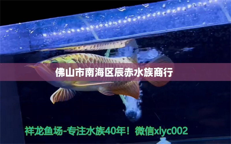 佛山市南海区辰赤水族商行 