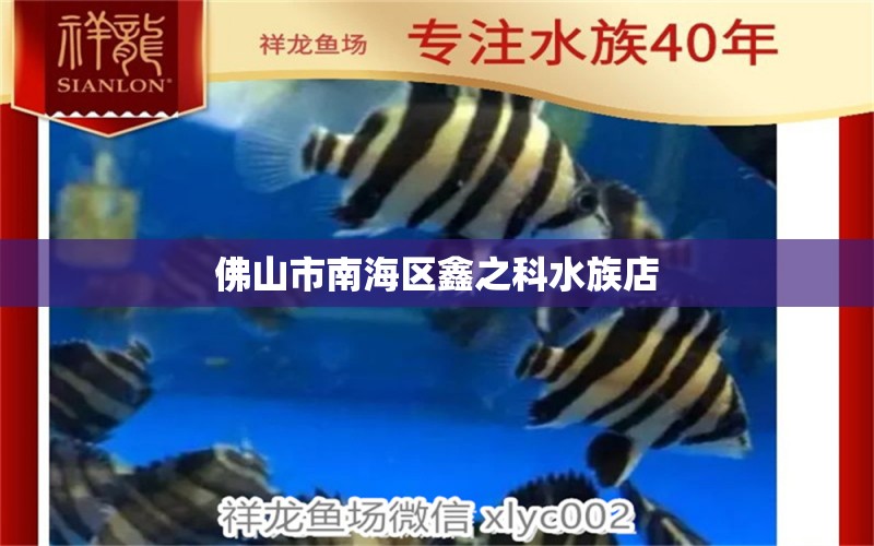 佛山市南海区鑫之科水族店 全国水族馆企业名录