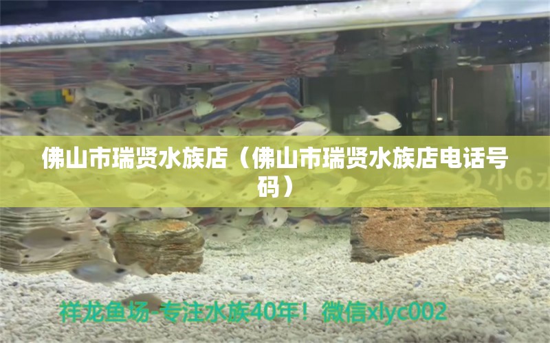 佛山市瑞贤水族店（佛山市瑞贤水族店电话号码）