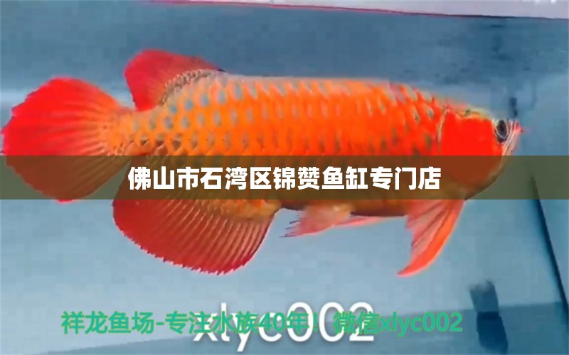 佛山市石湾区锦赞鱼缸专门店 全国水族馆企业名录