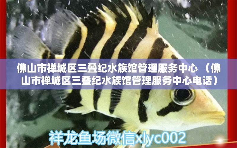 佛山市禅城区三叠纪水族馆管理服务中心 （佛山市禅城区三叠纪水族馆管理服务中心电话） 全国水族馆企业名录 第1张