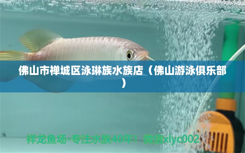 佛山市禅城区泳琳族水族店（佛山游泳俱乐部）