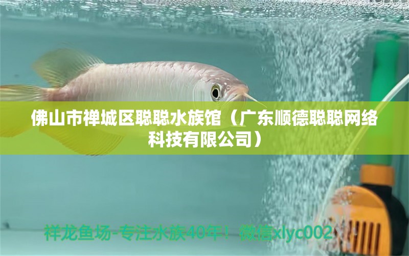 佛山市禅城区聪聪水族馆（广东顺德聪聪网络科技有限公司） 全国水族馆企业名录