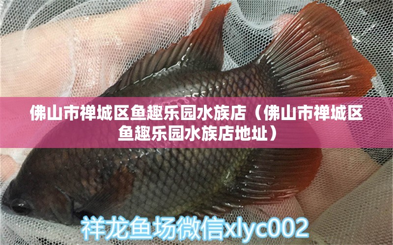 佛山市禅城区鱼趣乐园水族店（佛山市禅城区鱼趣乐园水族店地址） 全国水族馆企业名录