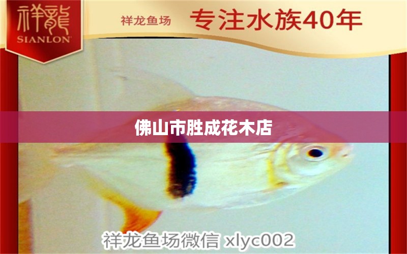 佛山市胜成花木店 全国水族馆企业名录 第2张