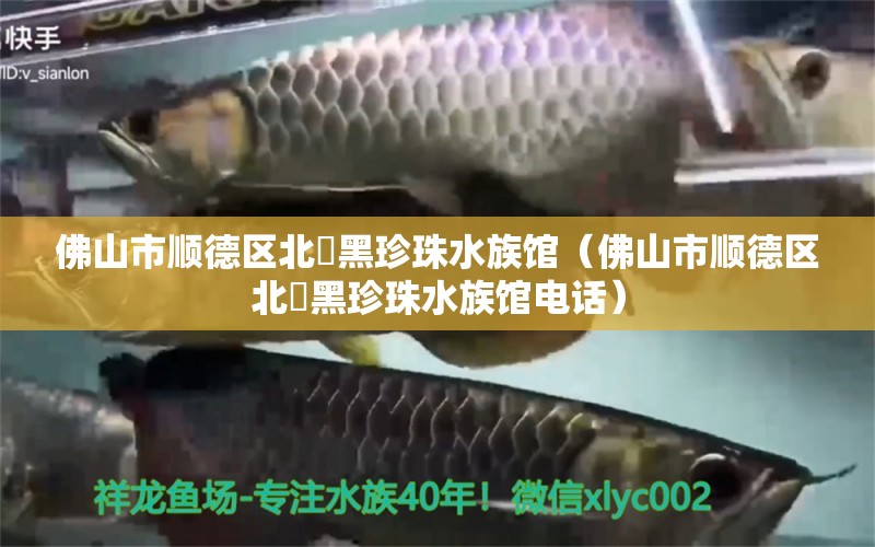 佛山市顺德区北滘黑珍珠水族馆（佛山市顺德区北滘黑珍珠水族馆电话）