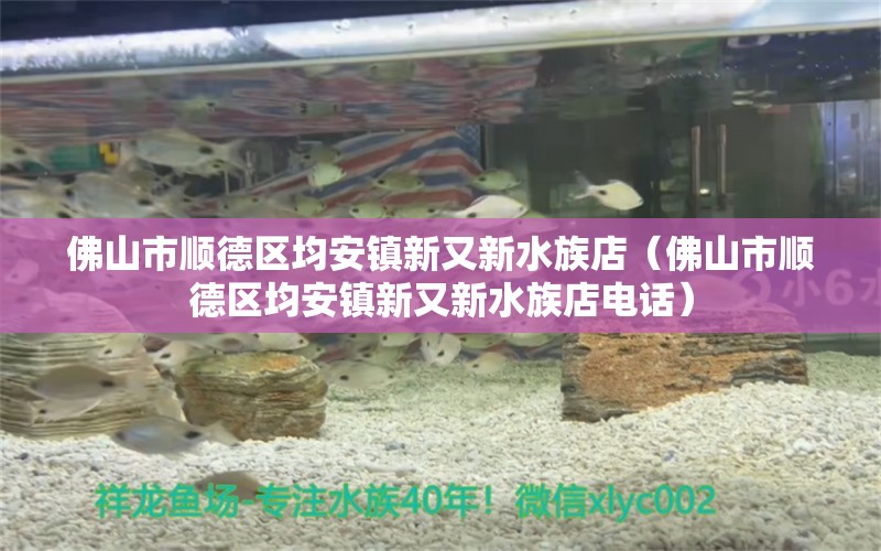 佛山市顺德区均安镇新又新水族店（佛山市顺德区均安镇新又新水族店电话）