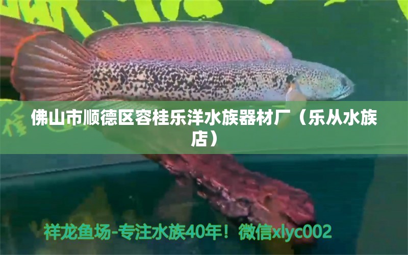 佛山市顺德区容桂乐洋水族器材厂（乐从水族店） 全国水族馆企业名录