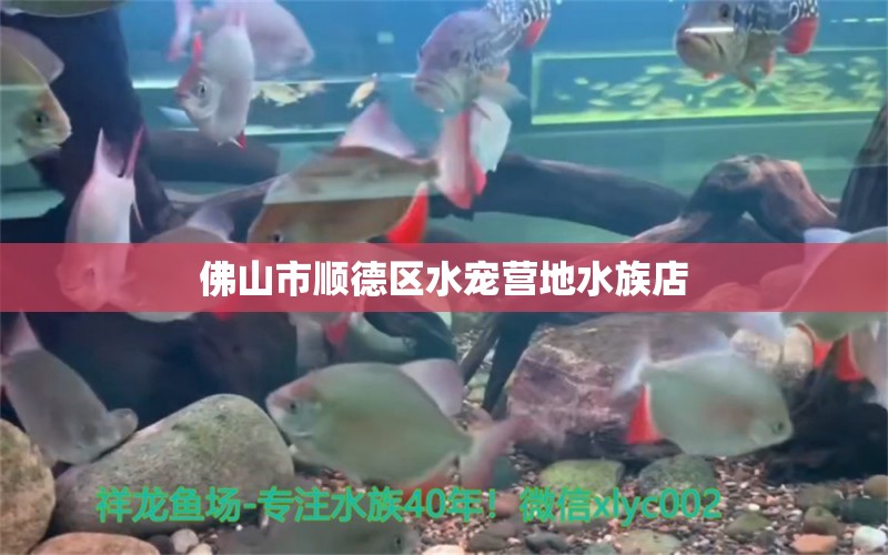 佛山市顺德区水宠营地水族店 全国水族馆企业名录 第2张