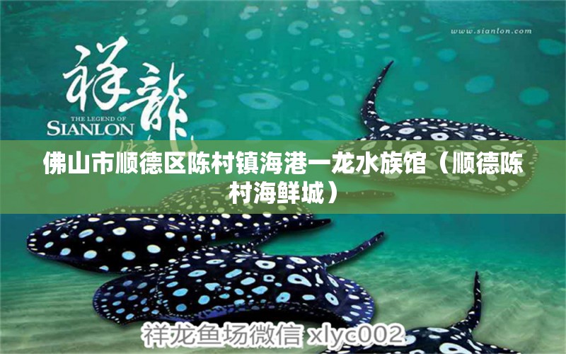 佛山市顺德区陈村镇海港一龙水族馆（顺德陈村海鲜城） 全国水族馆企业名录