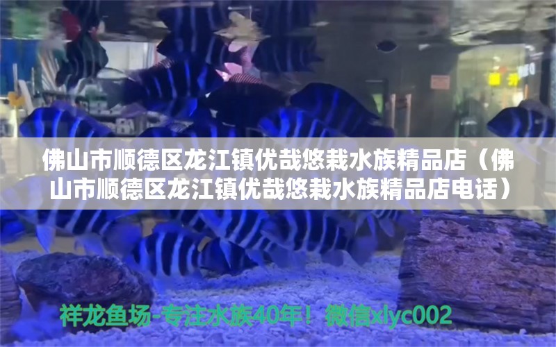 佛山市顺德区龙江镇优哉悠栽水族精品店（佛山市顺德区龙江镇优哉悠栽水族精品店电话）