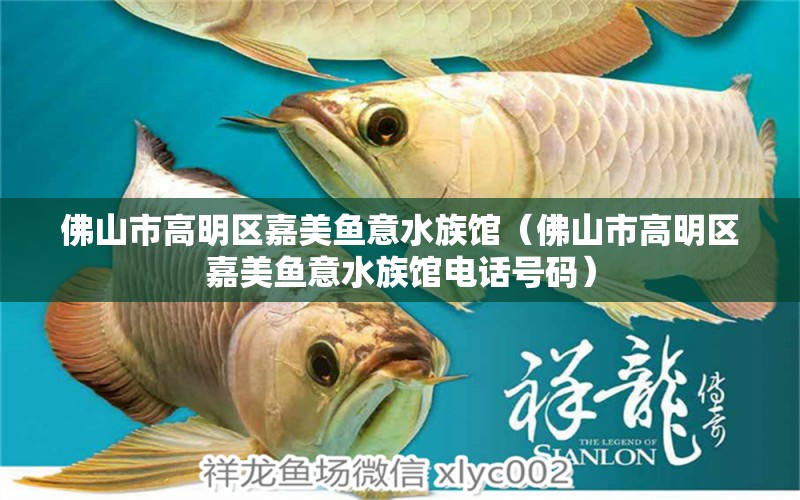 佛山市高明区嘉美鱼意水族馆（佛山市高明区嘉美鱼意水族馆电话号码） 全国水族馆企业名录