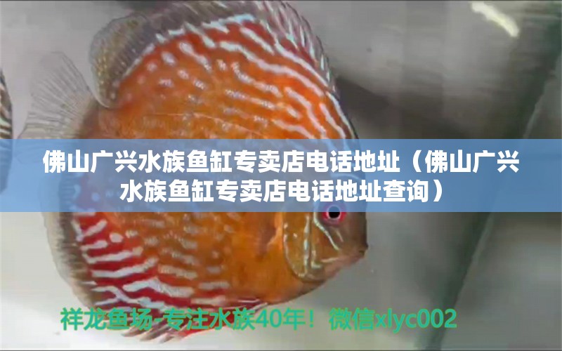 佛山广兴水族鱼缸专卖店电话地址（佛山广兴水族鱼缸专卖店电话地址查询）