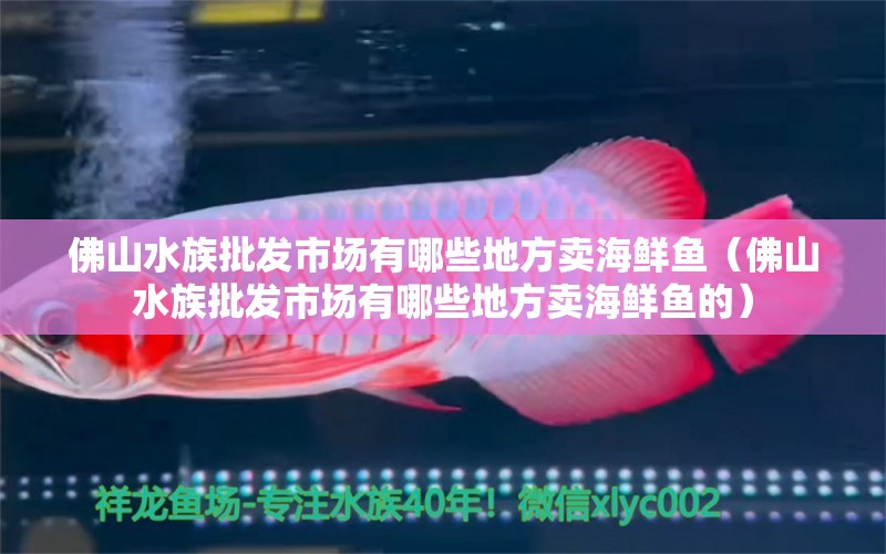 佛山水族批发市场有哪些地方卖海鲜鱼（佛山水族批发市场有哪些地方卖海鲜鱼的）