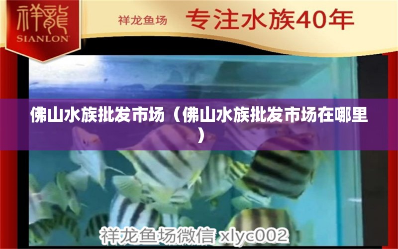 佛山水族批发市场（佛山水族批发市场在哪里）