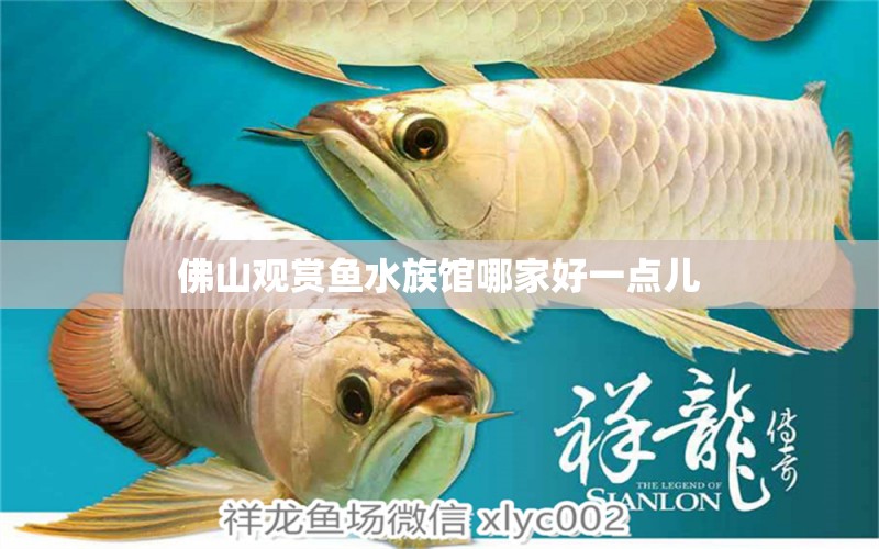 佛山观赏鱼水族馆哪家好一点儿 祥龙鱼场