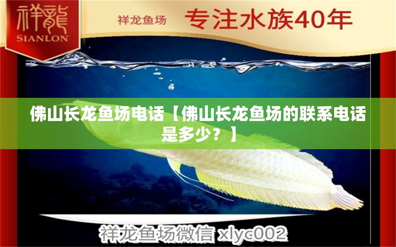 佛山长龙鱼场电话【佛山长龙鱼场的联系电话是多少？】 水族问答 第1张