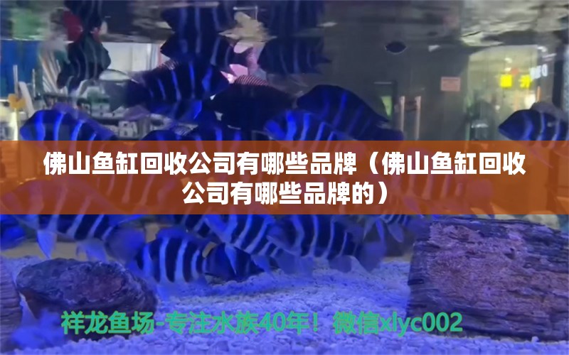 佛山鱼缸回收公司有哪些品牌（佛山鱼缸回收公司有哪些品牌的）