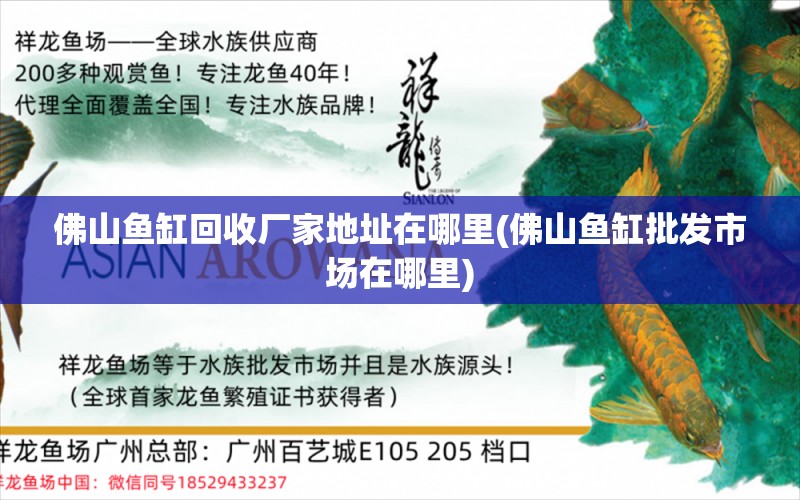 佛山鱼缸回收厂家地址在哪里(佛山鱼缸批发市场在哪里) 祥龙金禾金龙鱼