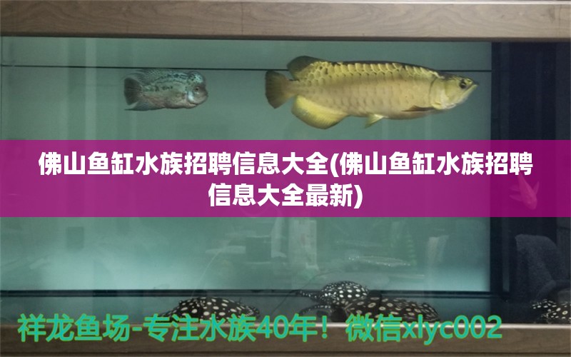 佛山鱼缸水族招聘信息大全(佛山鱼缸水族招聘信息大全最新) 喷点菠萝鱼