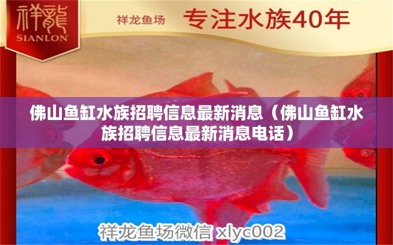 佛山鱼缸水族招聘信息最新消息（佛山鱼缸水族招聘信息最新消息电话） 广州观赏鱼批发市场