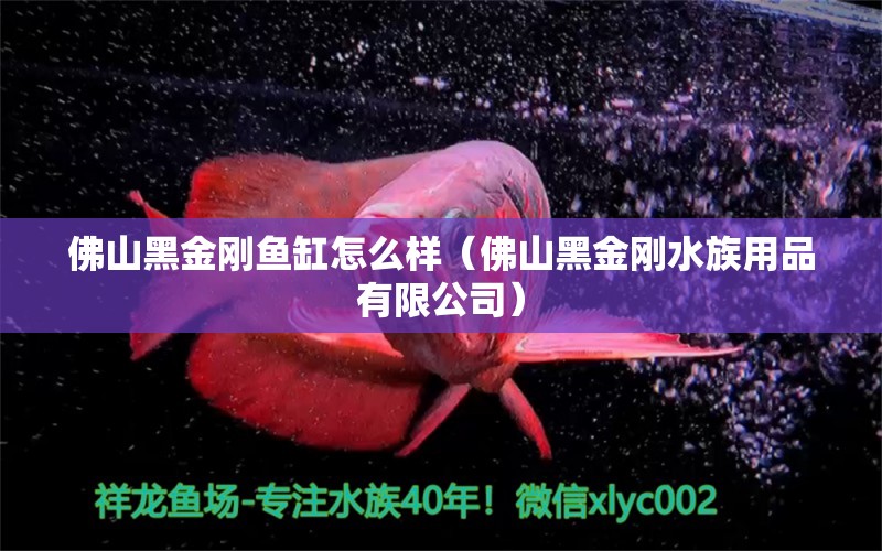 佛山黑金刚鱼缸怎么样（佛山黑金刚水族用品有限公司）