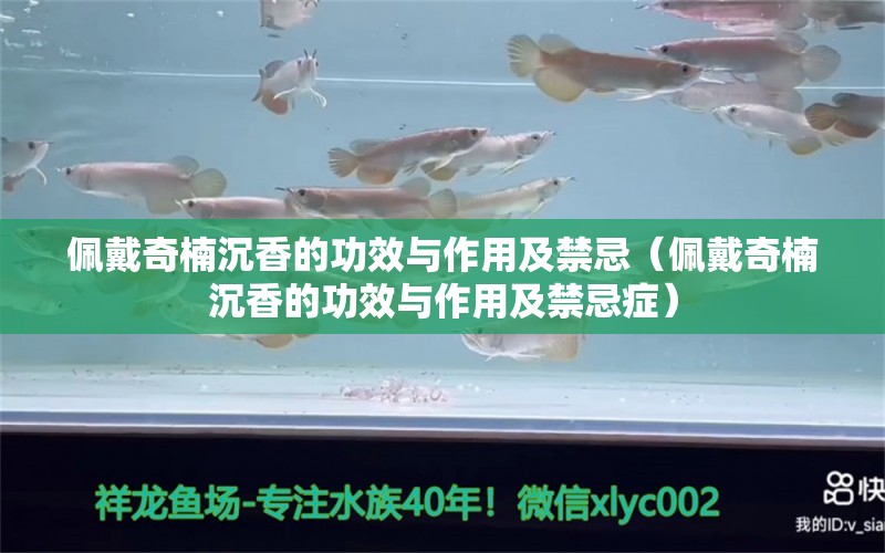 佩戴奇楠沉香的功效与作用及禁忌（佩戴奇楠沉香的功效与作用及禁忌症） 文玩