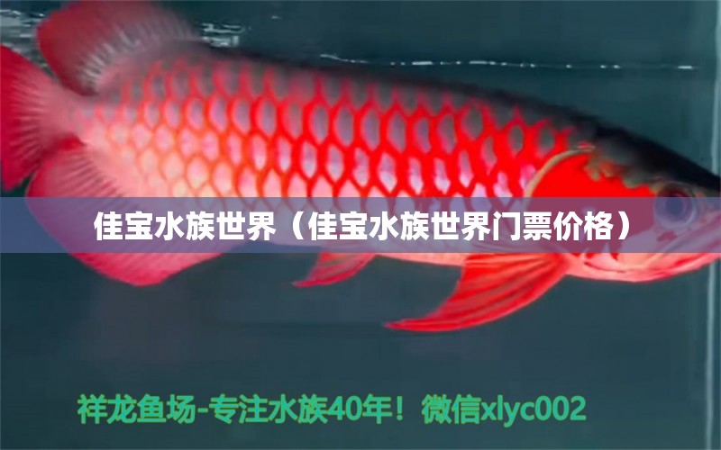 佳宝水族世界（佳宝水族世界门票价格）