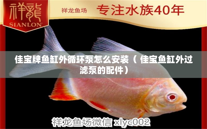 佳宝牌鱼缸外循环泵怎么安装（ 佳宝鱼缸外过滤泵的配件） 白子关刀鱼 第1张