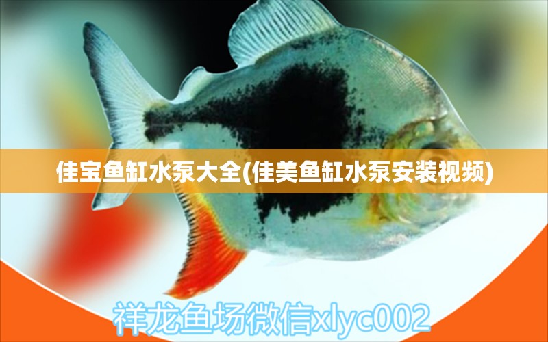 佳宝鱼缸水泵大全(佳美鱼缸水泵安装视频)