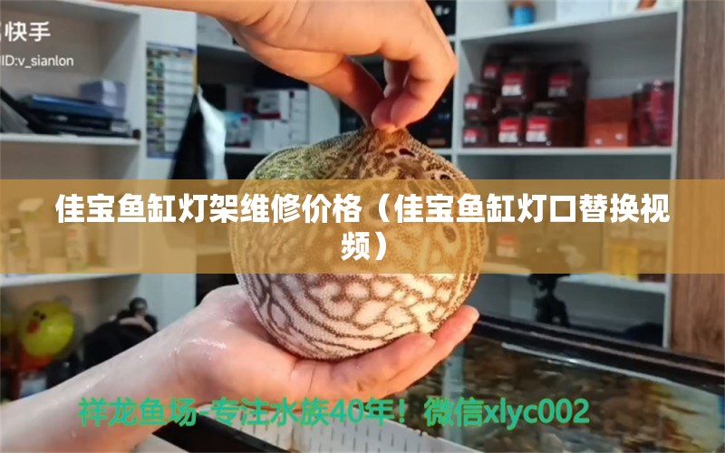 佳宝鱼缸灯架维修价格（佳宝鱼缸灯口替换视频）