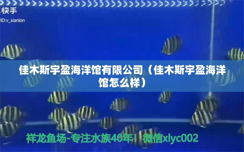 佳木斯宇盈海洋馆有限公司（佳木斯宇盈海洋馆怎么样） 全国水族馆企业名录