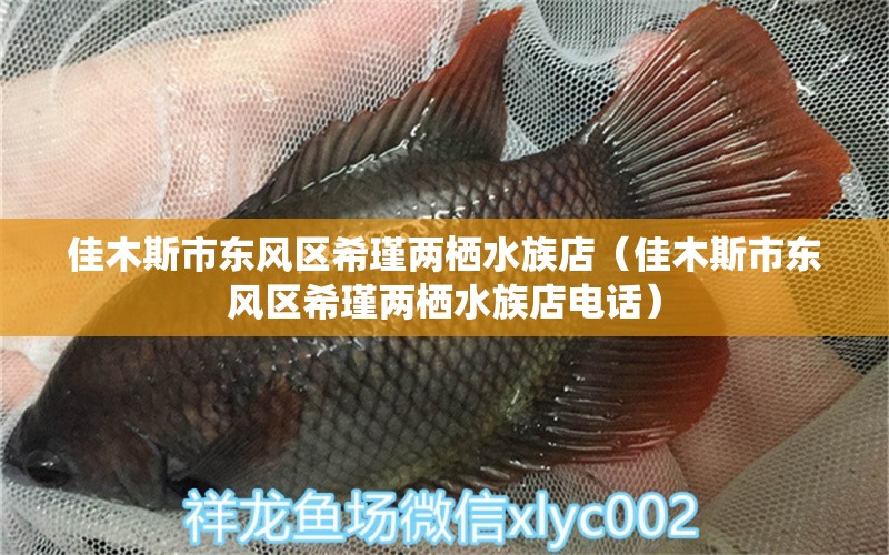 佳木斯市东风区希瑾两栖水族店（佳木斯市东风区希瑾两栖水族店电话） 全国水族馆企业名录