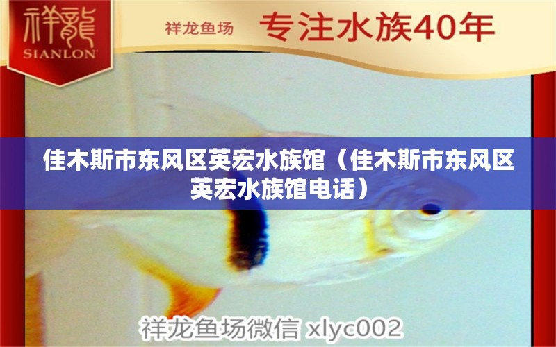 佳木斯市东风区英宏水族馆（佳木斯市东风区英宏水族馆电话） 全国水族馆企业名录