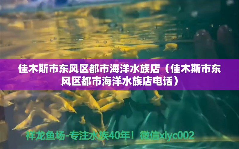 佳木斯市东风区都市海洋水族店（佳木斯市东风区都市海洋水族店电话）