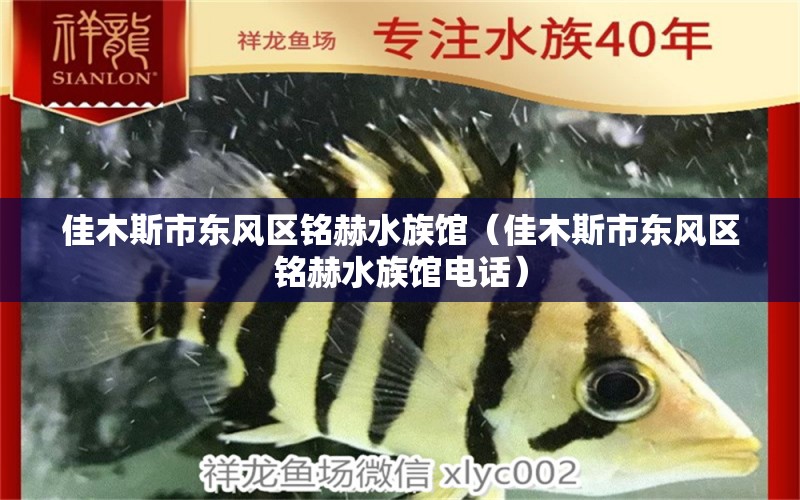 佳木斯市东风区铭赫水族馆（佳木斯市东风区铭赫水族馆电话） 全国水族馆企业名录